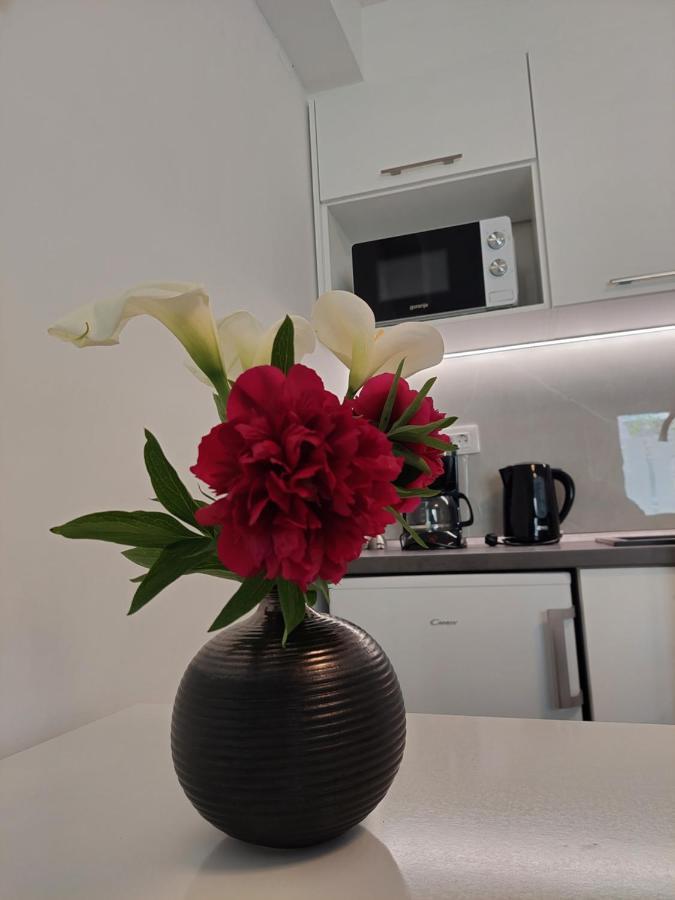 Apartment Mara Dubrovnik Eksteriør bilde